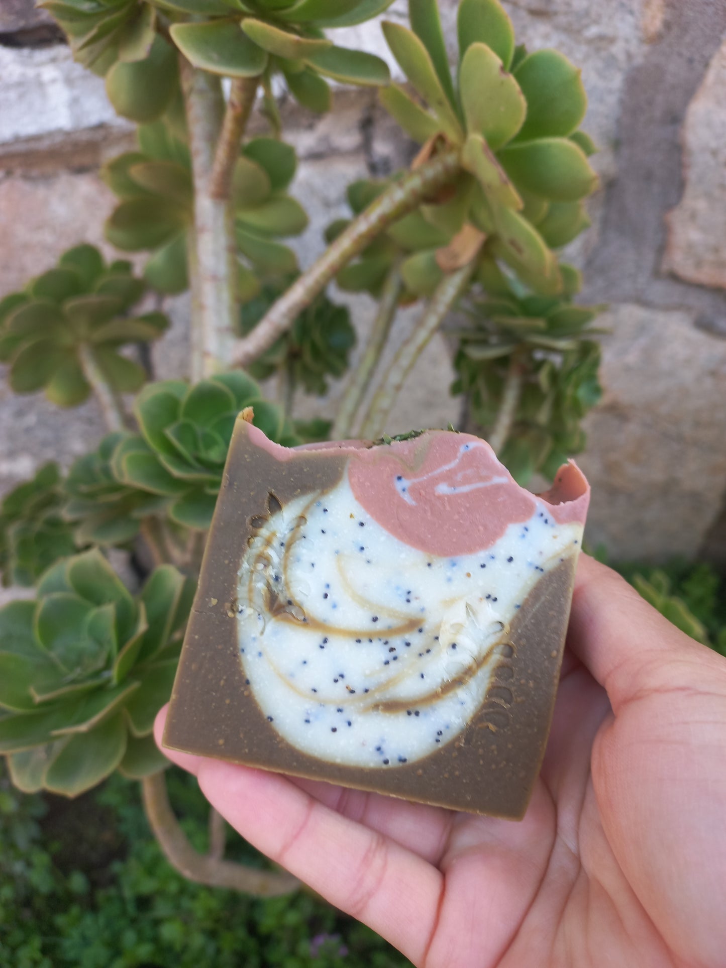 Jabon Artesanal Moringa